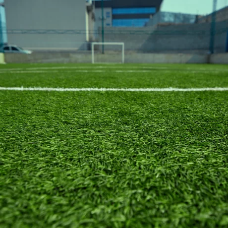Turf