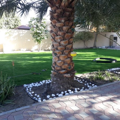 Garden Artificial Grass