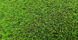 GV Cedar Mix artificial grass surface close-up