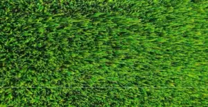 GV Citrus artificial grass surface close-up