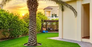 GV Fern 36 artificial grass in use (view 2)