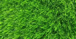 GV Meadow 50 artificial grass surface close-up