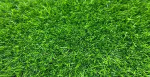 GV Multi-Sport 20 artificial grass surface close-up