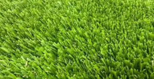 GV Oasis artificial grass surface close-up