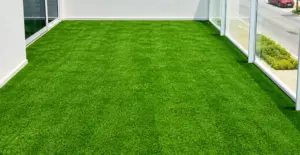 GV Oasis artificial grass in use (view 2)