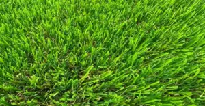 GV Prairie 42 Mix artificial grass surface close-up
