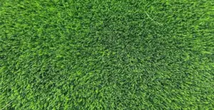 GV Putt 15 artificial grass surface close-up