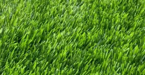 GV Regal 55 artificial grass surface close-up