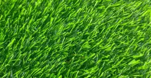 GV Rooftop 20 artificial grass surface close-up