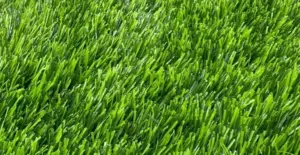 GV Royal 50 Mix artificial grass surface close-up
