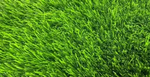 GV Savanna 45 Green artificial grass surface close-up