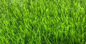 GV Savanna Mix artificial grass surface close-up
