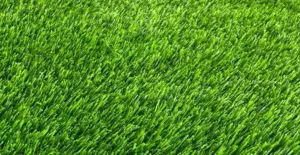 GV Willow Green artificial grass surface close-up